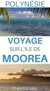 Moorea Que Faire Sur L Ile Mon Top 10 Le Guide Complet En Voyage Voyage En Polynesie Voyage Tahiti Photo Paradisiaque