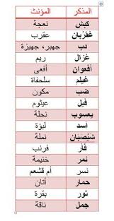 يعرف جميعنا السلحفاة على سبيل المثال وهي مؤنثة بالقطع لكن ما اسم الذكر منها هل هو س لح ف مثلا وم Learn Arabic Online Learn Arabic Language Arabic Language
