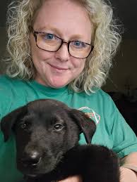 Cobberdog going to new home