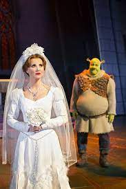 Wedding Dress Shrek Costume Fiona Costume Cinderella Dresses