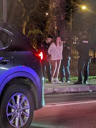 Emily Weir Arrested for Drunk Driving