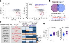 One defining feature of cancer is the rapid creation of abnormal cells that grow beyond their usual boundaries, and which can then invade adjoining parts of. Inducing And Exploiting Vulnerabilities For The Treatment Of Liver Cancer Nature