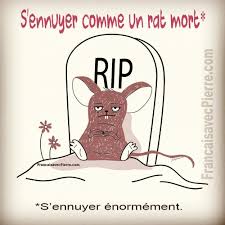 Expression Francaise S Ennuyer Comme Un Rat Mort S Ennuyer Enormement Exemple Ca Fa Expressions Francaises Expressions Idiomatiques Apprendre L Anglais
