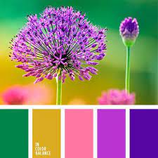 Color Palette 777 Warm Colour Palette Color Palette Color Balance