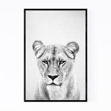 Black And White Lion Picture Framed Noir Gallery African Lioness Peeking Nursery Framed Art Print 24 X 36 Beech Lion Wall Art Framed Art Prints Nursery Wall Art