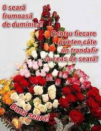 O seara placuta iti doresc! Facebook