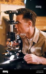 Archival laboratory technician hi-res stock photography and images