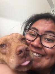 Thank you for helping find the pittbull's owner