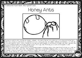 Super Simple 1 Page Coloring And Information Sheet On Honey Ants A Traditional Australian Aboriginal Food Source Please Note Aboriginal Food Aboriginal Ants