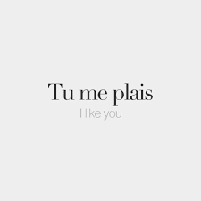 Bilderesultat For Francais Quote French Words Quotes French Quotes French Words