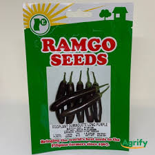 Mulch with rice hull or straw and provide partial shading. Eggplant Long Purple Seeds Shopee Philippines