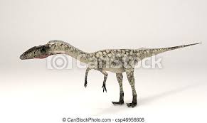 Coelophysis Dinosaur 3d Computer Rendering Illustration Of Coelophysis Canstock
