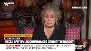 @ThaisEscufons video Tweet