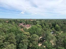 Um 14 uhr treffen wir uns im biergarten am aussichtsturm des baumkronenpfades. Baumkronenpfad Beelitz Heilstatten Lost Place Von Oben Dinosontour De