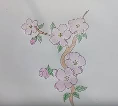 Check spelling or type a new query. How To Draw Cherry Blossoms Draw Flower
