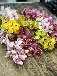 We did not find results for: Flowers By Reni Avis Facebook