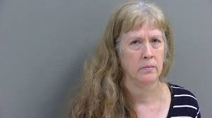 Galesburg woman arrested for half a million dollars in identity theft