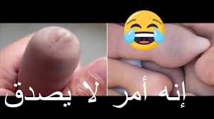 كل النساء العربيات يبحثن عن هذا النوع من القضيب انظروا ما هو Youtube