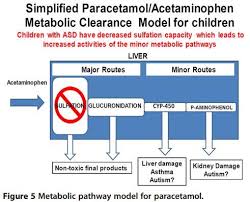 Tylenol Associated With Both Low Vitamin D And Autism