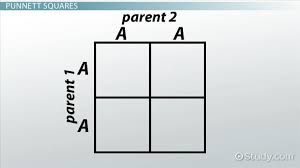 The punnett square is a diagram that is used to predict an outcome of a particular cross or breeding experiment. Genetics And Punnett Squares Getting Traits From Parents Video Lesson Transcript Study Com