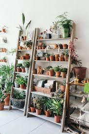25 Best Indoor Garden Ideas For Your Home In Small Spaces Indoor Indoorgarden Garden Home Ideas In 2020 Plant Shelves Outdoor Patio Plants Indoor Plant Shelves