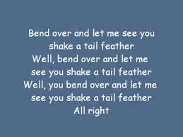 Birds Of A Feather Lyrics Ike And Tina Turner Shake A Tail Feather Lyrics Feather Lyrics Tail Feathers Shakes