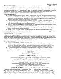 It's time to put it all together in a nice, clean package. Ceo Chief Executive Officer Resume