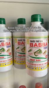 Bassa 50EC