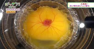 We did not find results for: Tahukah Anda Ayam Bisa Menetas Di Luar Cangkang Telur Okezone Techno