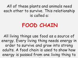 A consumer picks survey found consumer scores of america's popular restaurants. Lo To Be Able To Describe What A Food Chain Is And Give Examples Success Criteria I Can Identify What Animals Eat I Can Identify What Might Eat A Particular Ppt