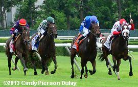 2013 Belmont Undercard Stakes Results