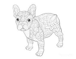 Supercoloring.com is a super fun for all ages: 95 Dog Coloring Pages For Kids Adults Free Printables