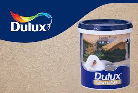 Exterior Paint Shave Paint Decor