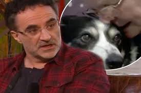 Supervet Noel Fitzpatrick struggles to save one-eyed cat after he's hit by  a car