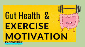 How Does Your Gut Health Help You Exercise? - Healthwealthbridge