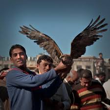 Collection by devin rodriguez • last updated 8 weeks ago. Kirkuk Caged Bird Or Phoenix Huffpost