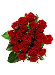 Gifs Hermosos Flores Encontradas En La Web Flower Bouquet Png Rose Flower Png Flower Images