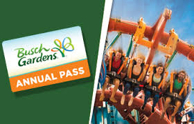 Florida Thrill Rides Roller Coasters Busch Gardens Tampa Bay