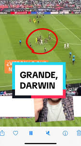 GRANDE, DARWIN
