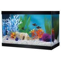 Fish Tanks Aquariums Petsmart Glass Aquarium Betta Fish Tank Fish Tank
