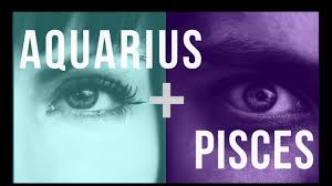 Why Aquarius And Pisces Are Attracted To Each Other Pairedlife