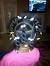 Toddler Little Black Girl Ponytail Hairstyles