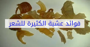 الكثيرة للشعر