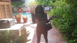 Free Sloppy BJ Time! Sizi Sev Got On Her Knees & Milks Plumber Rome Major!  Porn Video - Ebony 8