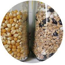 However, the main advantage that crop king seeds has over other seed banks is fast shipping times to whatever seedbank you choose, always order a small number of seeds first to test out how the seed. Seed Banks Kidsgardening Garden Lesson Plans