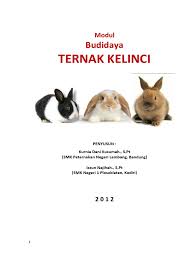 We did not find results for: Modul Kelinci Pdf