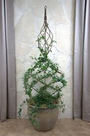 60 Marvelous Indoor Vines And Climbing Plants Decorations Hoommy Com Indoor Vines Plants Plant Decor