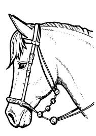 Van een paard in de wei tot het paard van sinterklaas. Kleurplaat Van Paarden Paardenhoofd Paard Tekeningen Kleurplaten