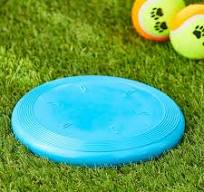 Vibrant Life Fetch Dog Toys, Rubber Frisbee Dog Toy, Blue