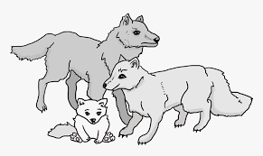 Wolf family⭐️ wolfoo, study hard! Wolves Wolf Pack Wolf Cub Family Beast Animals Pack Of Wolves Cartoon Hd Png Download Transparent Png Image Pngitem
